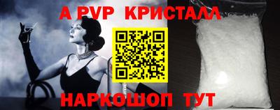 spice Кингисепп