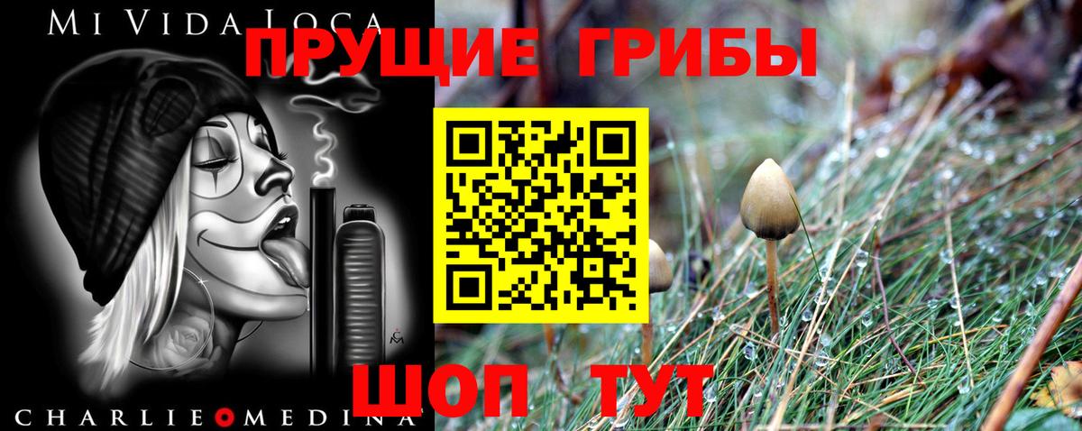Псилоцибиновые грибы Psilocybine cubensis  Вход с VPN  Шали 